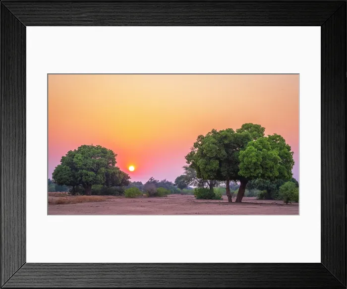 Framed Print : africa, Zimbabwe, Mana Pools National Park. Sunset Framed Print : africa, Zimbabwe, Mana Pools National Park. Sunset