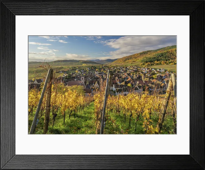 Framed Print : Vineyards in autumn, Riquewihr, Haut-Rhin, Alsace, Grand Est, France Framed Print : Vineyards in autumn, Riquewihr, Haut-Rhin, Alsace, Grand Est, France