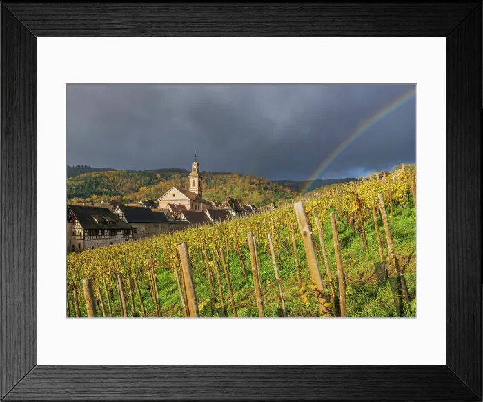 Framed Print : Vineyards in autumn, Riquewihr, Haut-Rhin, Alsace, Grand Est, France Framed Print : Vineyards in autumn, Riquewihr, Haut-Rhin, Alsace, Grand Est, France