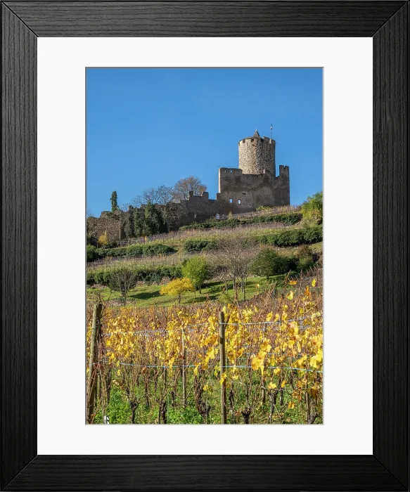 Framed Print : Castle, Kaysersberg, Haut-Rhin, Alsace, Grand Est, France Framed Print : Castle, Kaysersberg, Haut-Rhin, Alsace, Grand Est, France