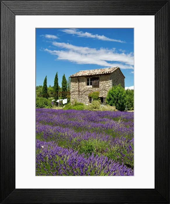 Framed Print : France, Provence Alpes Cote d'Azur, Provence, Saignon, a small house surrounded by lavender Framed Print : France, Provence Alpes Cote d'Azur, Provence, Saignon, a small house surrounded by lavender