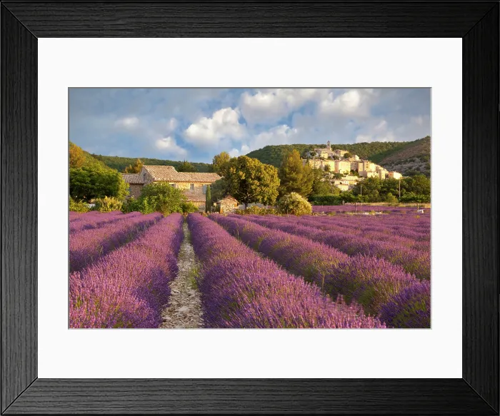 Framed Print : France, Provence Alpes Cote d'Azur, Provence, Banon, lavender fields in front of the hilltop village of Banon