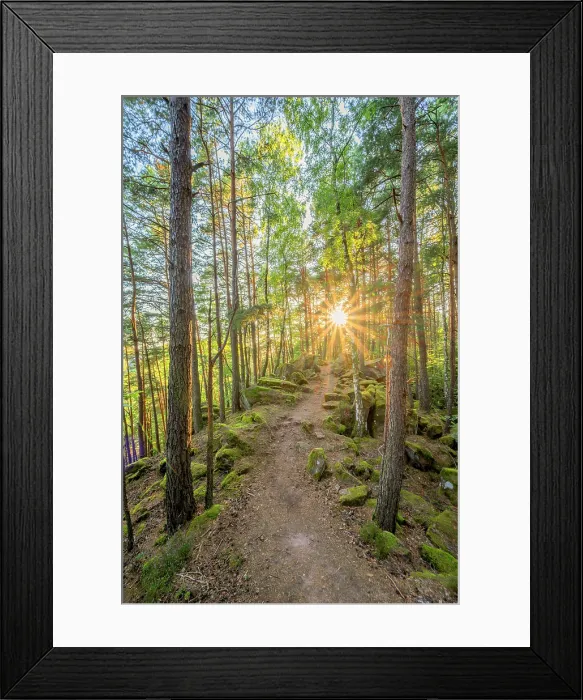 Framed Print : Hiking path near Busenberg near Dahn in the evening light, Dahn, Palatinate Forest, Wasgau, Dahner Felsenland, Rhineland-Palatinate, Germany Framed Print : Hiking path near Busenberg near Dahn in the evening light, Dahn, Palatinate Forest, Wasgau, Dahner Felsenland, Rhineland-Palatinate, Germany