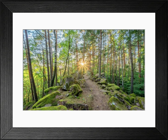 Framed Print : Hiking path near Busenberg near Dahn in the evening light, Dahn, Palatinate Forest, Wasgau, Dahner Felsenland, Rhineland-Palatinate, Germany