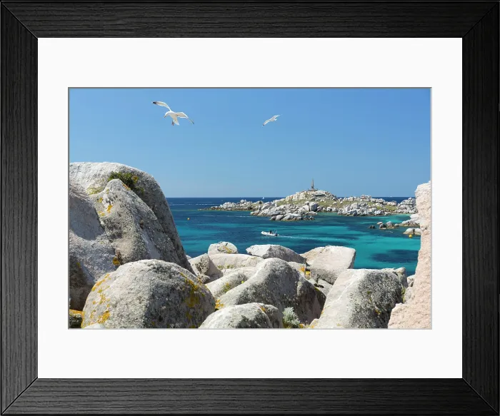 Framed Print : Europe, France Corsica, Corse-du-Sud Lavezzi Islands, Seagulls flying over rocks on the Lavezzi islands of Southern Corsica Framed Print : Europe, France Corsica, Corse-du-Sud Lavezzi Islands, Seagulls flying over rocks on the Lavezzi islands of Southern Corsica