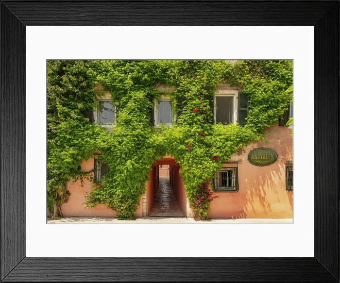 Framed Print : Greece, Ionian Islands, Corfu, Corfu town, climbers covering building