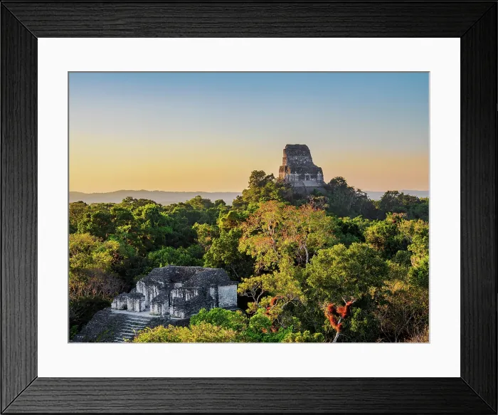 Framed Print : View over Talud-Tablero Temple or Structure 5C-49 towards Temple IV at sunset, Mundo Perdido, Tikal, Peten Department, Guatemala Framed Print : View over Talud-Tablero Temple or Structure 5C-49 towards Temple IV at sunset, Mundo Perdido, Tikal, Peten Department, Guatemala