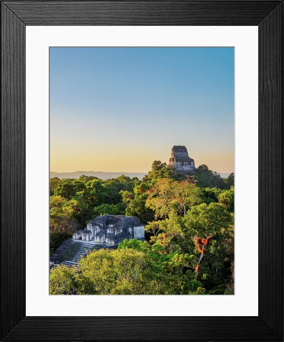 Framed Print : View over Talud-Tablero Temple or Structure 5C-49 towards Temple IV at sunset, Mundo Perdido, Tikal, Peten Department, Guatemala Framed Print : View over Talud-Tablero Temple or Structure 5C-49 towards Temple IV at sunset, Mundo Perdido, Tikal, Peten Department, Guatemala