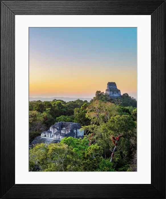 Framed Print : View over Talud-Tablero Temple or Structure 5C-49 towards Temple IV at dusk, Mundo Perdido, Tikal, Peten Department, Guatemala Framed Print : View over Talud-Tablero Temple or Structure 5C-49 towards Temple IV at dusk, Mundo Perdido, Tikal, Peten Department, Guatemala