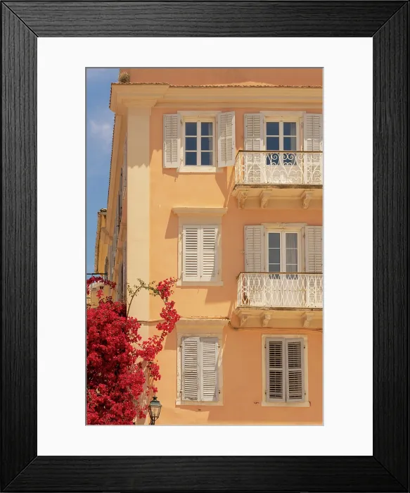 Framed Print : Greece, Ionian Islands, Corfu, Corfu town, red flowering Bougainvillea tree in town square Framed Print : Greece, Ionian Islands, Corfu, Corfu town, red flowering Bougainvillea tree in town square