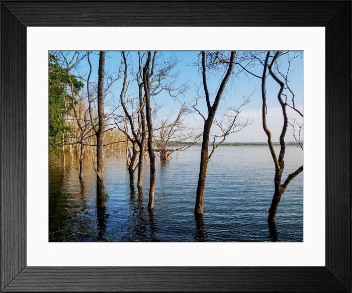 Framed Print : Yaxha Lake at Yaxha Archaeological Site, Peten Department, Guatemala Framed Print : Yaxha Lake at Yaxha Archaeological Site, Peten Department, Guatemala