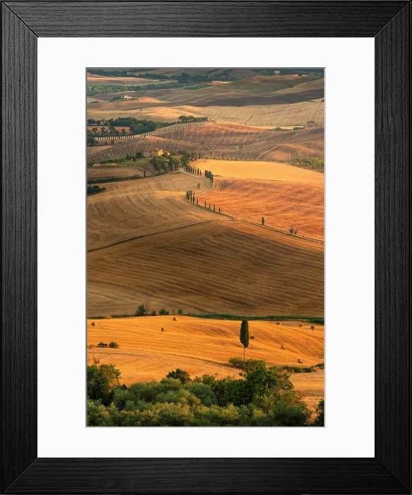 Framed Print : Idyllic landscape of Tuscan hills at sunset. Pienza, Orcia valley, Siena province, Tuscany, Italy