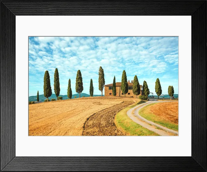 Framed Print : Idyllic farmhouse surrounded by cypress trees in the Tuscan countryside. Orcia valley, Siena province, Tuscany, Italy Framed Print : Idyllic farmhouse surrounded by cypress trees in the Tuscan countryside. Orcia valley, Siena province, Tuscany, Italy