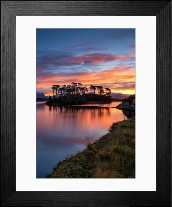 Framed Print : Pine Island at Sunrise, Derryclare Lough, County Galway, Ireland