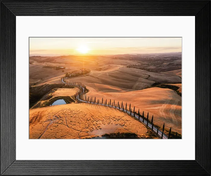 Framed Print : Scenic winding road lined with cypress trees in the Crete Senesi at sunset. Asciano, Siena province, Tuscany, Italy Framed Print : Scenic winding road lined with cypress trees in the Crete Senesi at sunset. Asciano, Siena province, Tuscany, Italy