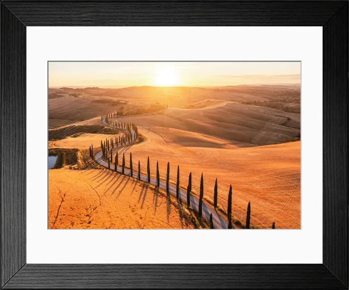 Framed Print : Scenic winding road lined with cypress trees in the Crete Senesi at sunset. Asciano, Siena province, Tuscany, Italy Framed Print : Scenic winding road lined with cypress trees in the Crete Senesi at sunset. Asciano, Siena province, Tuscany, Italy