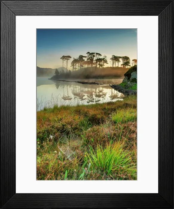 Framed Print : Pine Island at Sunrise, Derryclare Lough, County Galway, Ireland