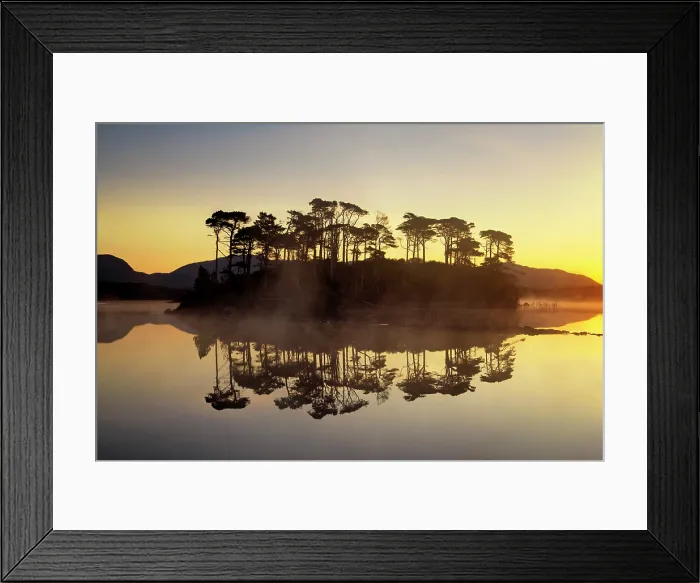 Framed Print : Pine Island at Sunrise, Derryclare Lough, County Galway, Ireland Framed Print : Pine Island at Sunrise, Derryclare Lough, County Galway, Ireland