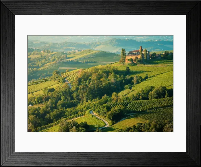 Framed Print : Langhe hills and its vineyards. Langhe, Cuneo province, Piedmont, Italy Framed Print : Langhe hills and its vineyards. Langhe, Cuneo province, Piedmont, Italy