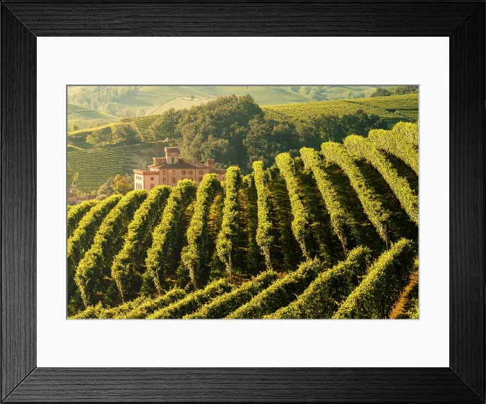 Framed Print : Castle with vineyards in the Langhe region. Cuneo province, Piedmont, Italy