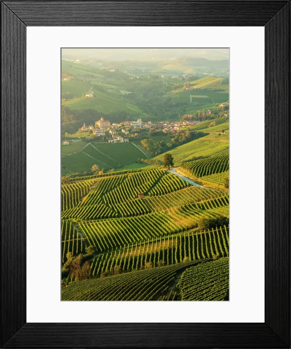 Framed Print : The village of Barolo surrounded by vineyards. Barolo, Langhe, Cuneo province, Piedmont, Italy Framed Print : The village of Barolo surrounded by vineyards. Barolo, Langhe, Cuneo province, Piedmont, Italy