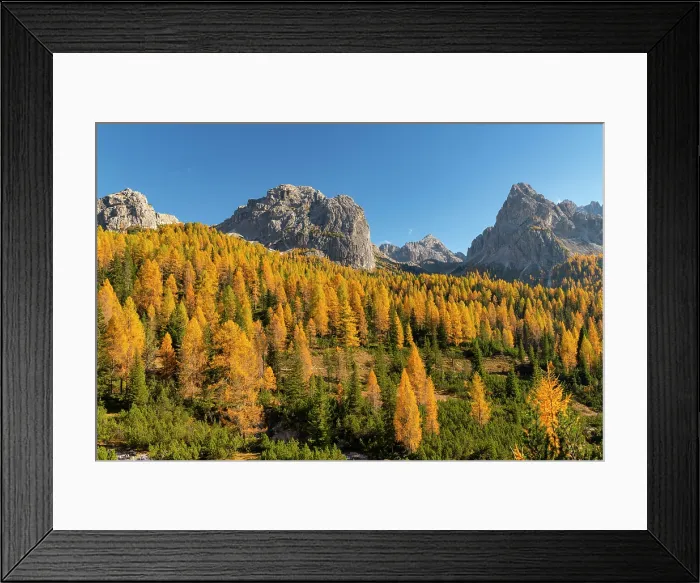 Framed Print : Autumn Larches Below the Cadini Group, Dolomites, Veneto Province, Italy