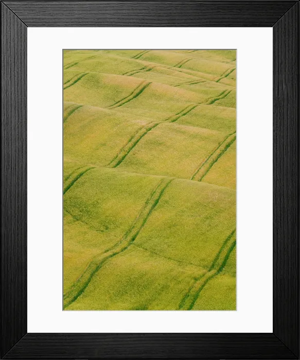 Framed Print : Italy, Tuscany, Val d'Orcia: Tractor tracks across rolling fields of crops