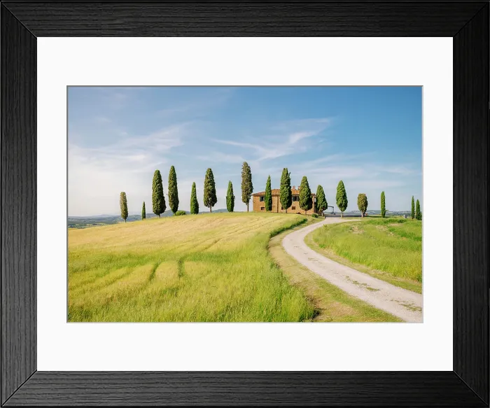 Framed Print : Tuscan farmhouse and cypress trees line a winding road through golden fields. Pienza Framed Print : Tuscan farmhouse and cypress trees line a winding road through golden fields. Pienza