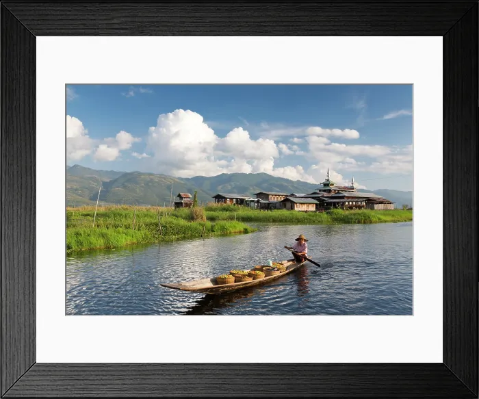 Framed Print : Myanmar, Burma, Shan, Inle Lake, Nyaungshwe, Nyaung Shwe, Woman rowing a boat full of green tomatoes to sell at a market Framed Print : Myanmar, Burma, Shan, Inle Lake, Nyaungshwe, Nyaung Shwe, Woman rowing a boat full of green tomatoes to sell at a market