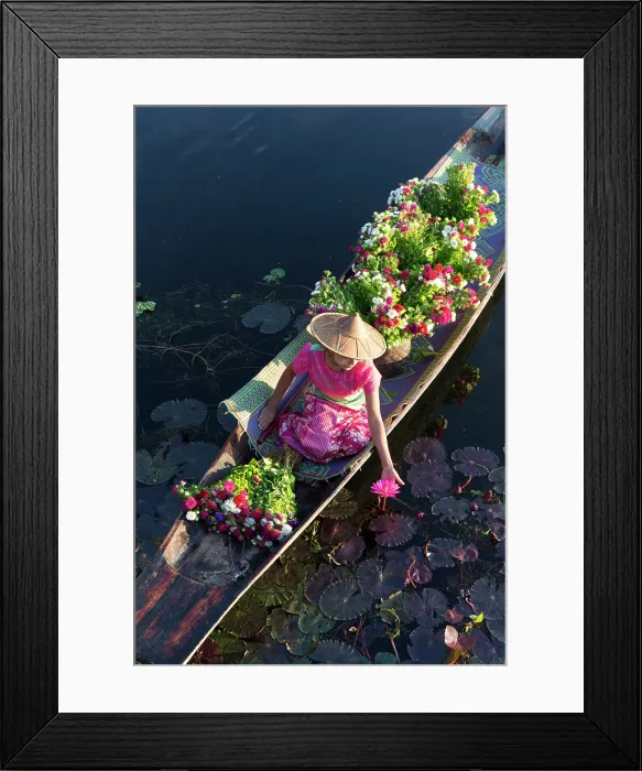 Framed Print : Myanmar, Burma, Shan, Inle Lake, Nyaungshwe, Nyaung Shwe, a girl in a dugout canoe picks a water lily from a dugout canoe Framed Print : Myanmar, Burma, Shan, Inle Lake, Nyaungshwe, Nyaung Shwe, a girl in a dugout canoe picks a water lily from a dugout canoe