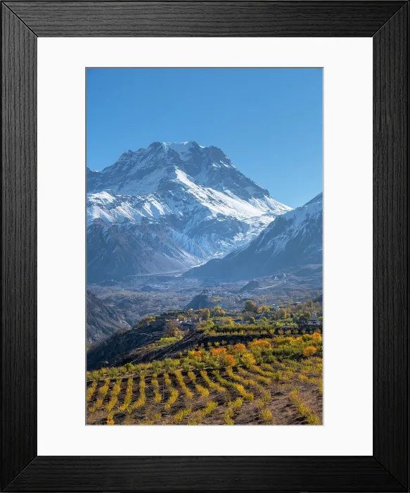 Framed Print : Apple orchard in the valley towards Muktinath, Lower Mustang, Nepal Framed Print : Apple orchard in the valley towards Muktinath, Lower Mustang, Nepal