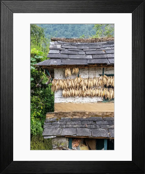 Framed Print : Traditional farmhouse, Ghandruk village, Annapurna Region, Gandaki Province, Nepal Framed Print : Traditional farmhouse, Ghandruk village, Annapurna Region, Gandaki Province, Nepal
