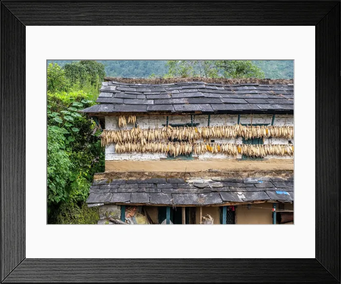Framed Print : Traditional farmhouse, Ghandruk village, Annapurna Region, Gandaki Province, Nepal Framed Print : Traditional farmhouse, Ghandruk village, Annapurna Region, Gandaki Province, Nepal