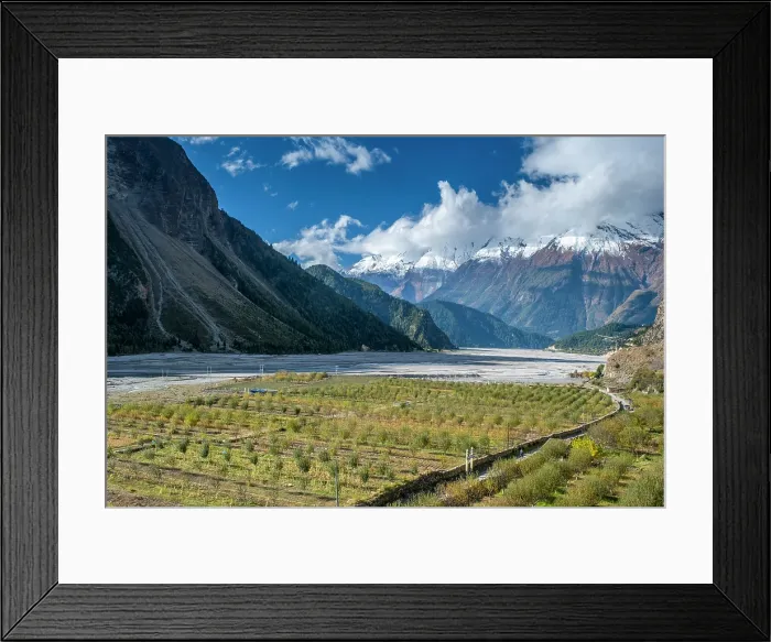 Framed Print : Apple orchard by the Kali Gandaki river, Lower Mustang, Nepal Framed Print : Apple orchard by the Kali Gandaki river, Lower Mustang, Nepal