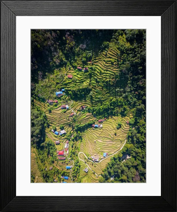Framed Print : Terraced fields near Pokhara, Annapurna Region, Gandaki Province, Nepal Framed Print : Terraced fields near Pokhara, Annapurna Region, Gandaki Province, Nepal