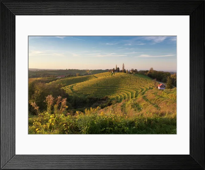 Framed Print : Slovenia; Mura; Prlekija, Jeruzalem Wine Road; vineyards in the autumn Framed Print : Slovenia; Mura; Prlekija, Jeruzalem Wine Road; vineyards in the autumn