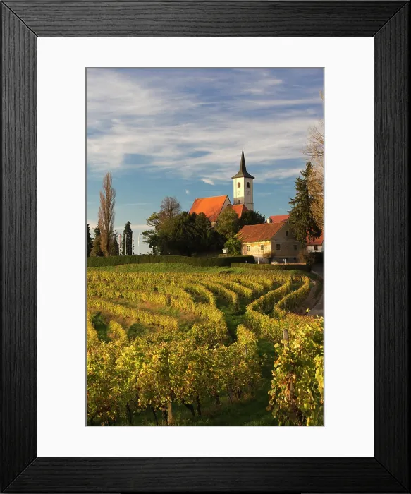 Framed Print : Slovenia, Prlekija, vineyards surrounding the Church of the sorrowful Mother of God Framed Print : Slovenia, Prlekija, vineyards surrounding the Church of the sorrowful Mother of God