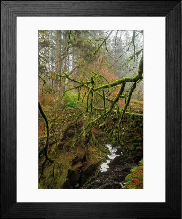 Framed Print : Hermitage bridge, Dunkeld, Perth and Kinross, Perthshire, Scotland Framed Print : Hermitage bridge, Dunkeld, Perth and Kinross, Perthshire, Scotland