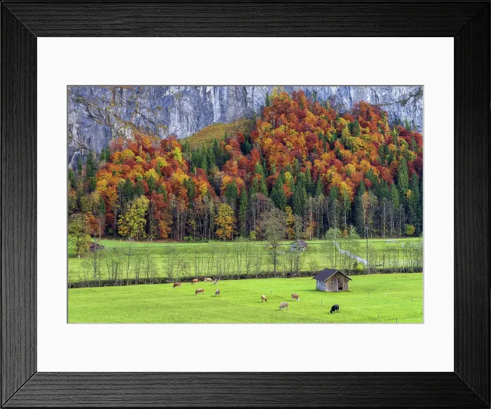 Framed Print : Scenic autumn landscape, Lauterbrunnen, Berner Oberland, Switzerland Framed Print : Scenic autumn landscape, Lauterbrunnen, Berner Oberland, Switzerland