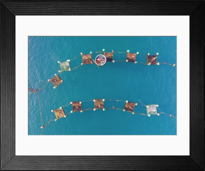 Framed Print : Aerial view of floating lobster cages, Tuy An, Phu Yen Province, Vietnam Framed Print : Aerial view of floating lobster cages, Tuy An, Phu Yen Province, Vietnam