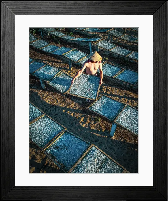 Framed Print : Vietnamese man handling anchovies on wooden racks, Tuy An, Phu Yen Province, Vietnam Framed Print : Vietnamese man handling anchovies on wooden racks, Tuy An, Phu Yen Province, Vietnam