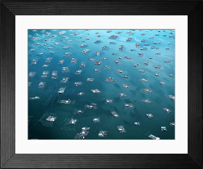 Framed Print : Drone aerial view of a lobster farm, Vung Ro Bay, Phu Yen Province, Vietnam Framed Print : Drone aerial view of a lobster farm, Vung Ro Bay, Phu Yen Province, Vietnam