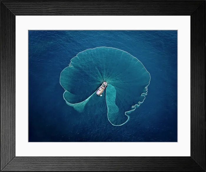 Framed Print : Aerial view of fishing boat using nets for anchovies, Tuy An, Phu Yen Province, Vietnam Framed Print : Aerial view of fishing boat using nets for anchovies, Tuy An, Phu Yen Province, Vietnam
