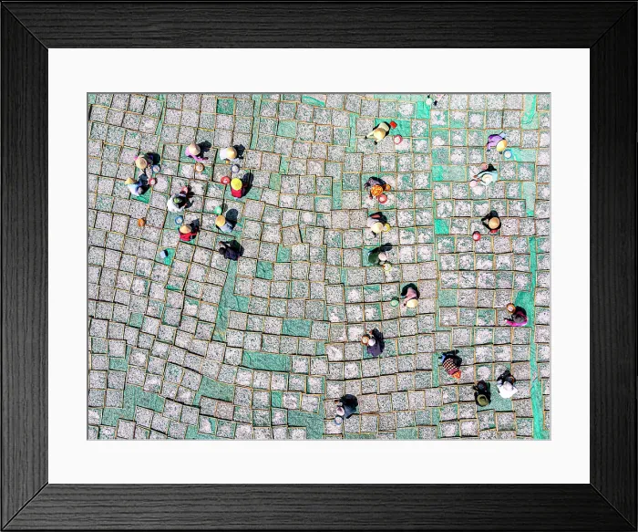 Framed Print : Fishermen collecting anchovies from drying racks, Tuy An, Phu Yen Province, Vietnam Framed Print : Fishermen collecting anchovies from drying racks, Tuy An, Phu Yen Province, Vietnam