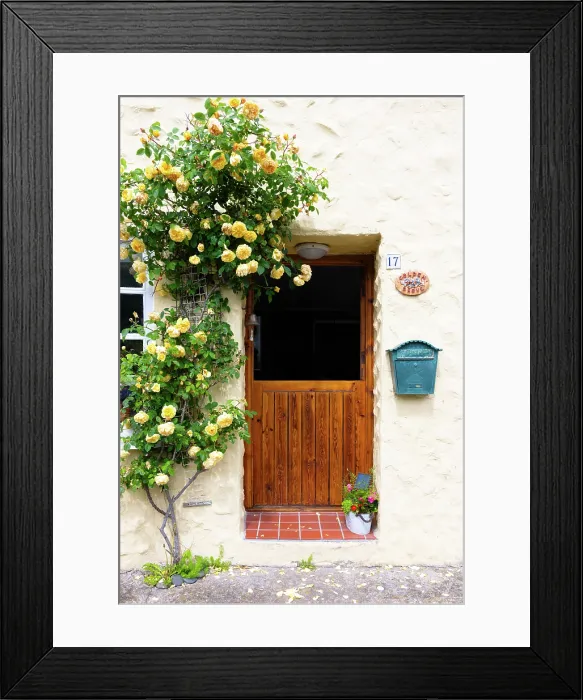 Framed Print : Traditional cottage in Solva, Pembrokeshire, Wales Framed Print : Traditional cottage in Solva, Pembrokeshire, Wales
