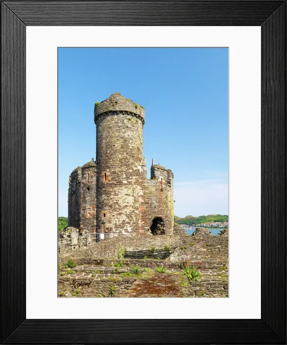 Framed Print : View towards Stockhouse Tower of Conwy Castle, Conwy, Wales Framed Print : View towards Stockhouse Tower of Conwy Castle, Conwy, Wales