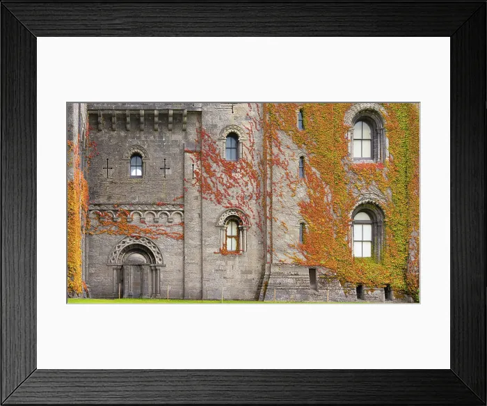 Framed Print : Virginia creeper on the walls of the Penrhyn Castle (Castell Penrhyn), a fortified manor house in Llandygai, Bangor, Gwynedd, Wales Framed Print : Virginia creeper on the walls of the Penrhyn Castle (Castell Penrhyn), a fortified manor house in Llandygai, Bangor, Gwynedd, Wales