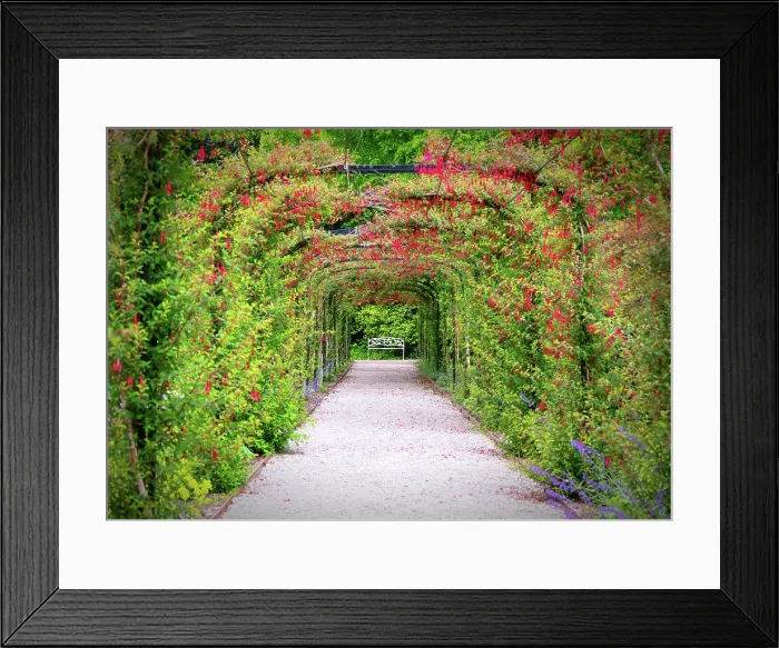 Framed Print : The walled garden at Penrhyn Castle (Castell Penrhyn), a fortified manor house in Llandygai, Bangor, Gwynedd, Wales Framed Print : The walled garden at Penrhyn Castle (Castell Penrhyn), a fortified manor house in Llandygai, Bangor, Gwynedd, Wales