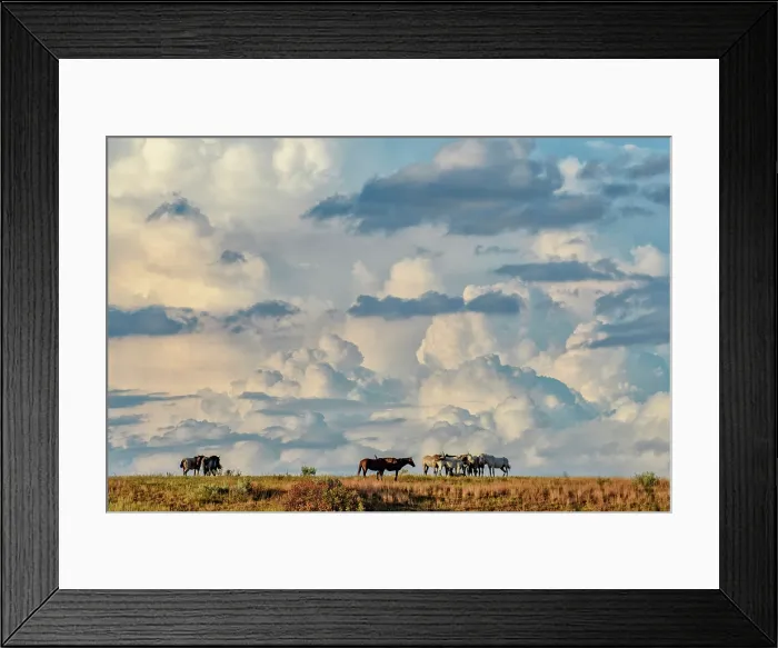 Framed Print : USA, Great Plains, North Dakota, Theodore Roosevelt, National Park, South Unit, wild horses with thunderclouds