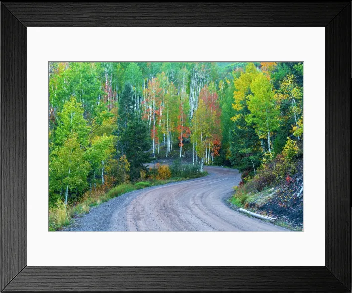 Framed Print : USA, Colorado, Telluride, Hastings Mesa, Last Dollar Road